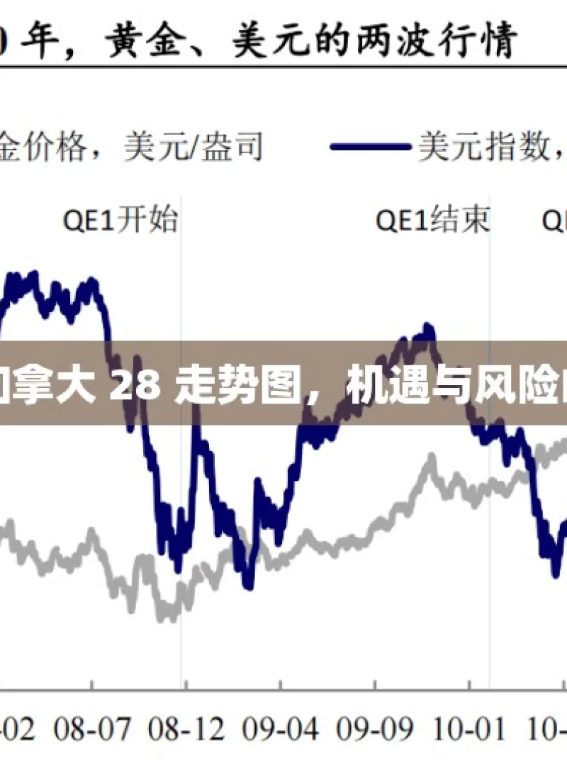 探索加拿大 28 走势图，机遇与风险的交织