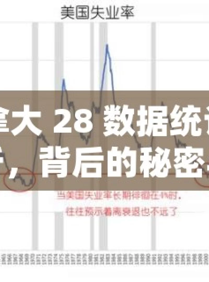 加拿大 28 数据统计与分析，背后的秘密与趋势