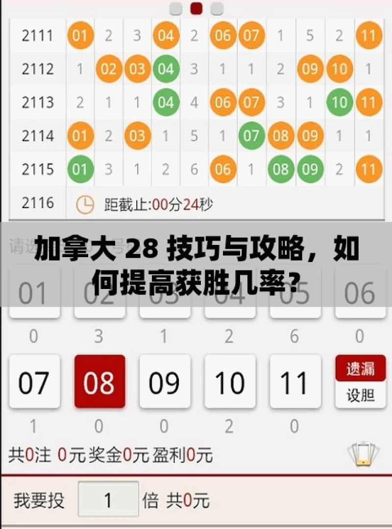 加拿大 28 技巧与攻略，如何提高获胜几率？