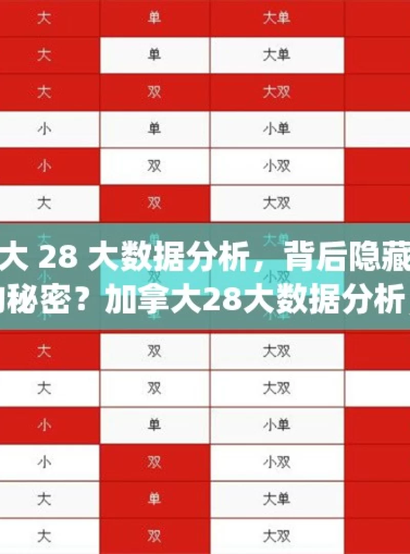 加拿大 28 大数据分析，背后隐藏着怎样的秘密？加拿大28大数据分析，揭秘背后的数字密码？，探究加拿大 28 大数据之谜