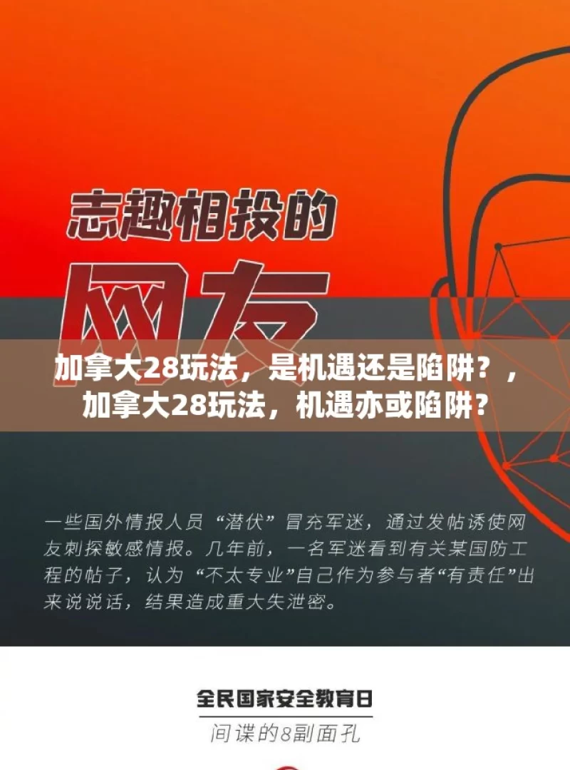 加拿大28玩法，是机遇还是陷阱？，加拿大28玩法，机遇亦或陷阱？