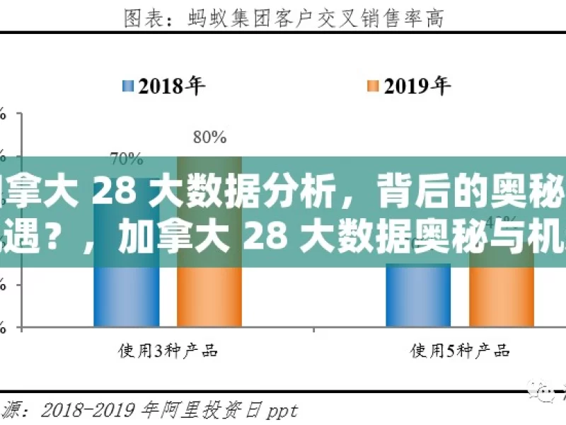 加拿大 28 大数据分析，背后的奥秘与机遇？，加拿大 28 大数据奥秘与机遇