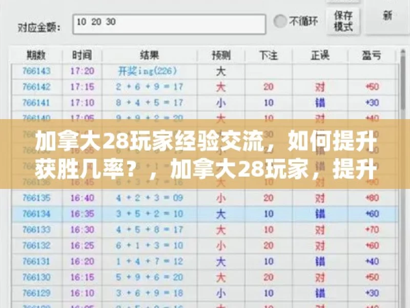 加拿大28玩家经验交流，如何提升获胜几率？，加拿大28玩家，提升获胜几率之谈