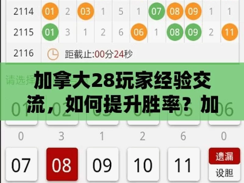 加拿大28玩家经验交流，如何提升胜率？加拿大28游戏，如何巧妙提高中奖概率？，加拿大 28 游戏，提升胜率之法