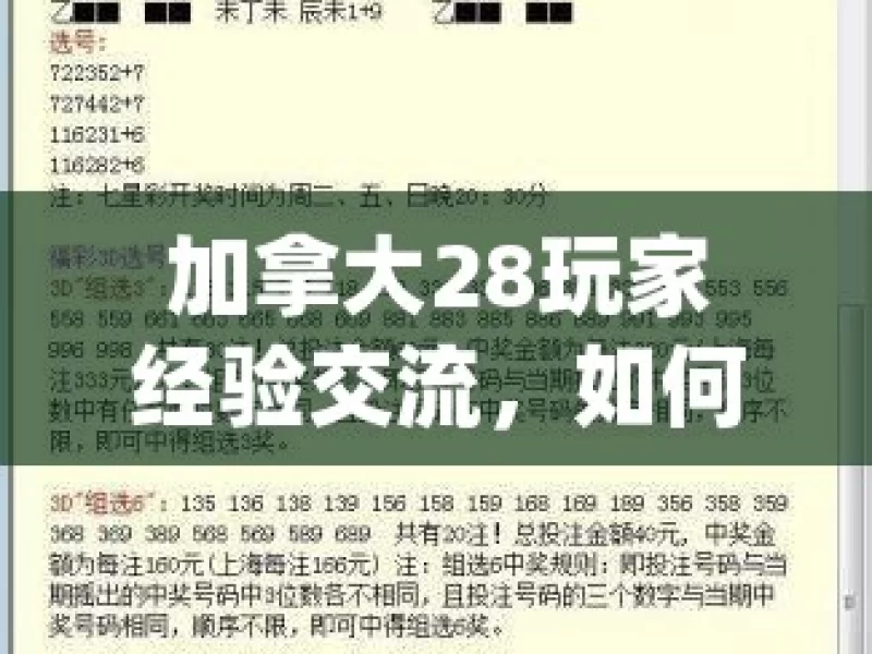 加拿大28玩家经验交流，如何提升胜率？加拿大28游戏，如何巧妙提高中奖概率？，加拿大 28 游戏，提升胜率之法