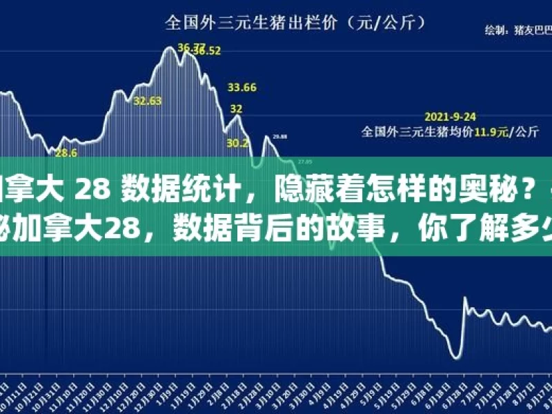 加拿大 28 数据统计，隐藏着怎样的奥秘？揭秘加拿大28，数据背后的故事，你了解多少？，揭秘加拿大 28 数据奥秘