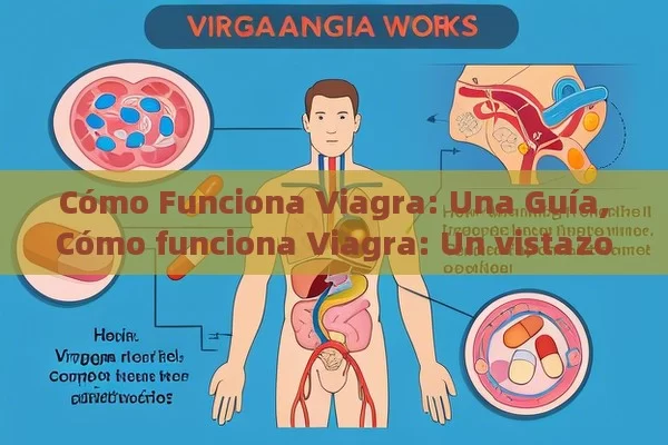 Cómo Funciona Viagra: Una Guía,Cómo funciona Viagra: Un vistazo completo