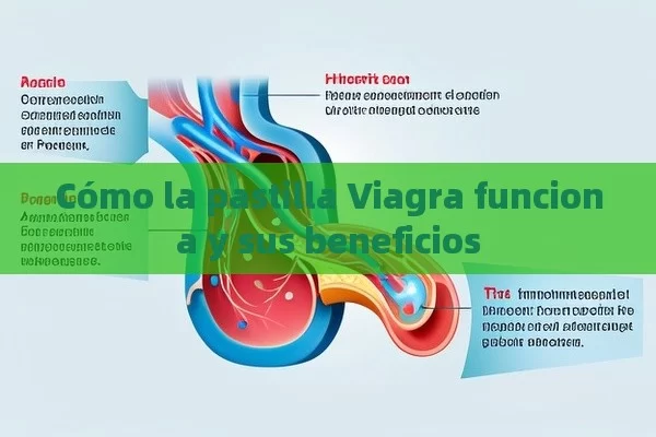 Cómo la pastilla Viagra funciona y sus beneficios