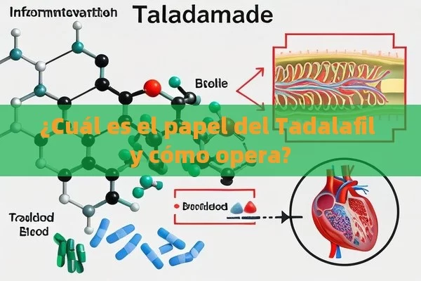 ¿Cuál es el papel del Tadalafil y cómo opera?