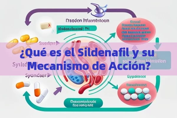 ¿Qué es el Sildenafil y su Mecanismo de Acción?