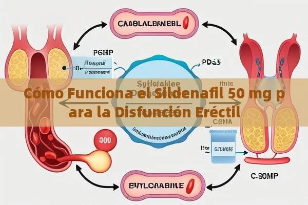 Cómo Funciona el Sildenafil 50 mg para la Disfunción Eréctil - Priligy y su Efectividad