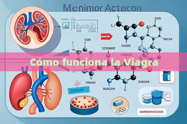 Cómo funciona la Viagra - Priligy y su Efectividad