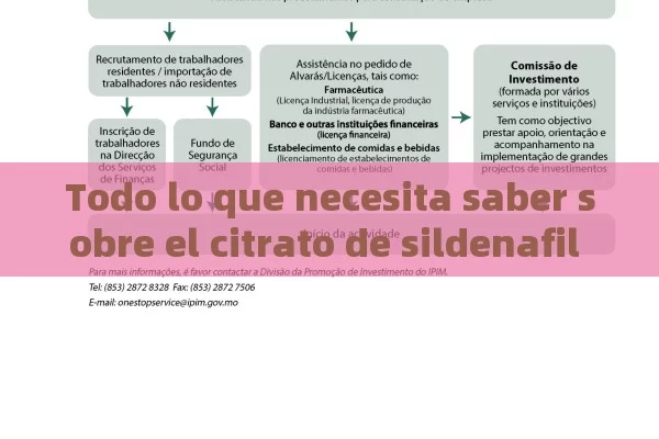 Todo lo que necesita saber sobre el citrato de sildenafil a 100 mg: efectos, usos y precauciones. - Priligy y su Efectividad