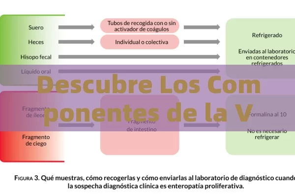 Pastillas para Erección Masculina: Una Guía Completa para Mejorar tu Salud Sexual