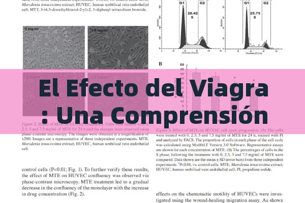 El Efecto del Viagra: Una Comprensión Integral de Sus Impactos y Aplicaciones