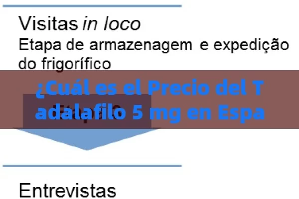 ¿Cuál es el Precio del Tadalafilo 5 mg en España? Guía Completa